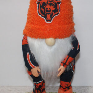 Football - Chicago Bears 1