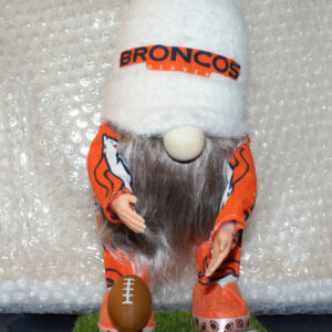 Football - Denver Broncos 2
