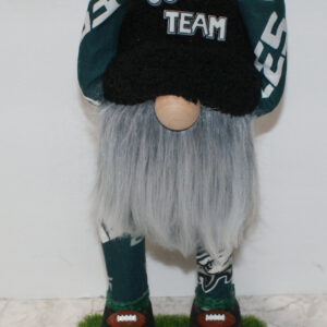 Football - Philadelphia Eagles 1