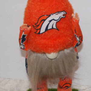 Football - Denver Broncos 4