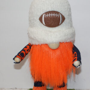 Football - Denver Broncos