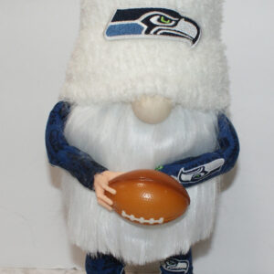 Football - Seahawks 20