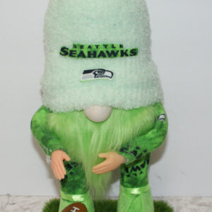 Football - Seahawks 23