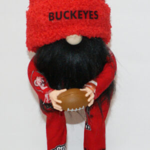 Football - Ohio State Buckeyes 4