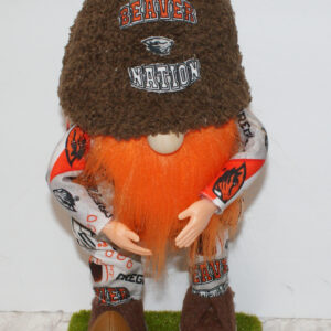 Football - Oregon State Beavers 3