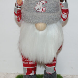 Football - WSU 8