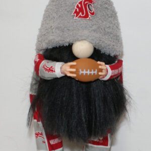 Football - WSU 7