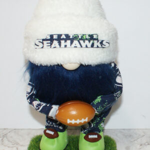 Football - Seahawks 16
