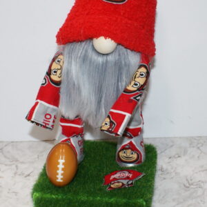 Football - Ohio State Buckeyes 3