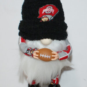 Football - Ohio State 1