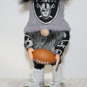 Football - LV Raiders 5