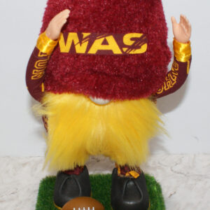 Football - WA Commanders 3
