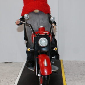 Gnome -  Motorcycle Guy 1 on Indian Bike