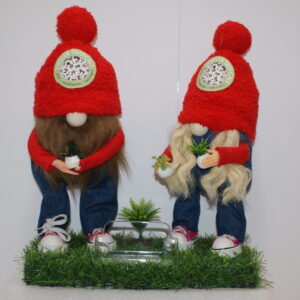 Gnome -  Voeller Tropicals # 2