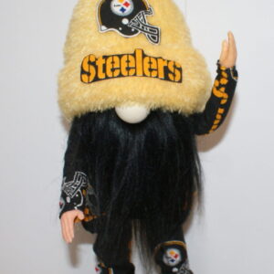 Football - Pittsburg Steelers 5