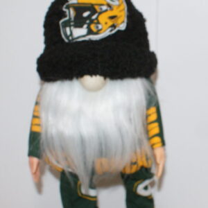 Football - Green Bay Packers 6