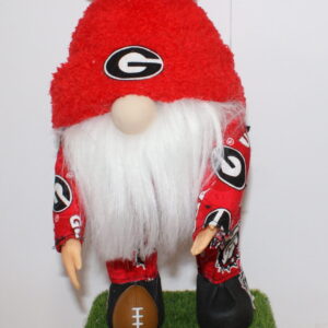 Football - Georgia Bulldogs 3
