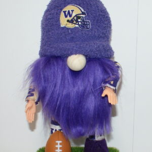 Gnome -Football - UW Huskies 8