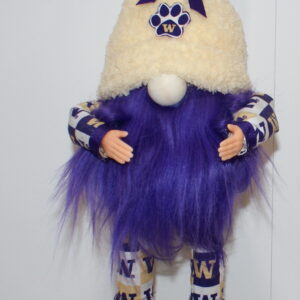 Gnome - Football - UW Huskies 7