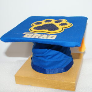 Table Topper - High School -Cap 5