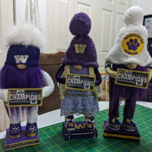 Gnome - Football - UW Huskies 15-16-17