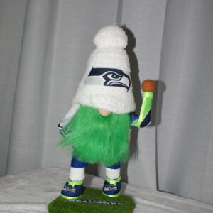 Football - Seattle Seahawks 33