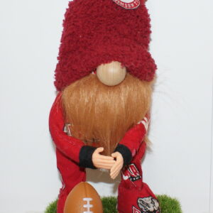 Football - Alabama Crimson Tides 2