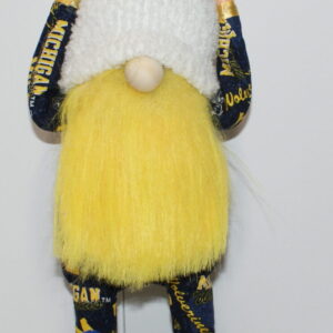 Football Michigan Wolverines 1