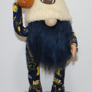 Football Michigan Wolverines 2