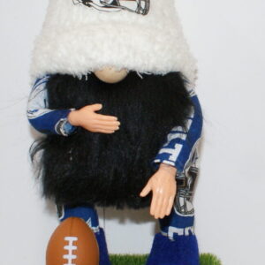 Football Indianapolis Colts 2