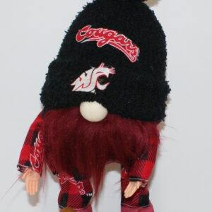 Football WSU Cougars 9