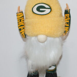 Football - Green Bay Packers 7