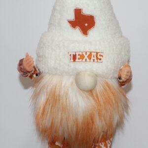 Football Texas Longhorns 4