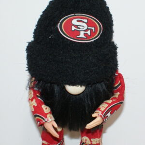 Football SF 49ers 9