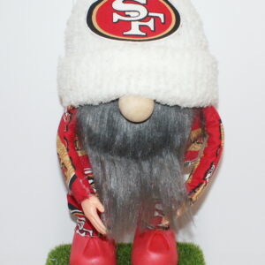 Football SF 49ers 10