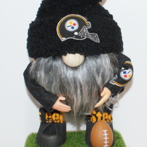 Football Pittsburg Steelers 7