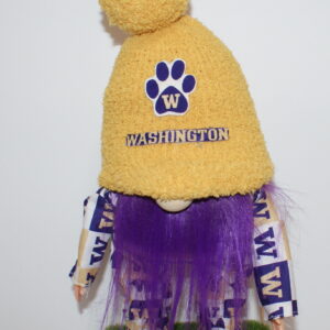 Football UW Huskies 18