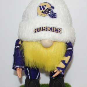Football UW Huskies 19