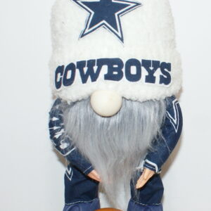 Football Dallas Cowboys 5