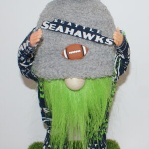 Football Seattle Seahawks 34