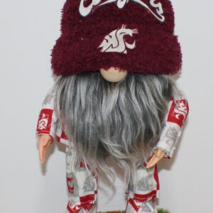 Football WSU Cougars 11