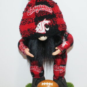 Football WSU Cougars 12