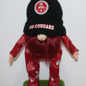 Football WSU Cougars 13
