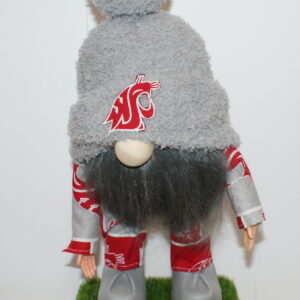 Football WSU Cougars 10