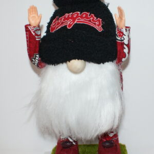 Football - WSU Cougars 14