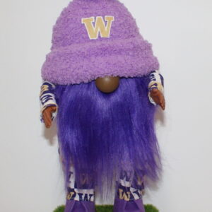 Football UW Huskies 20