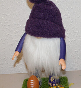 Football - UW Huskies 10