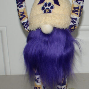 Football - UW Huskies 5