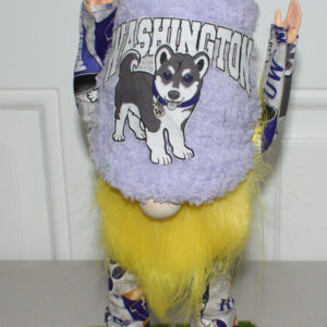 Football UW Huskies 4