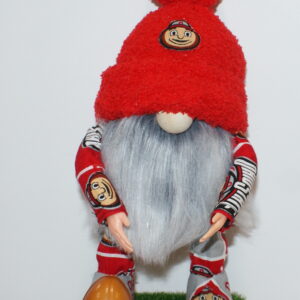 Football Ohio State Buckeyes 3